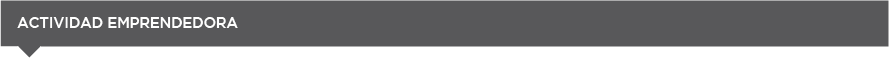 actividad emprendedora
