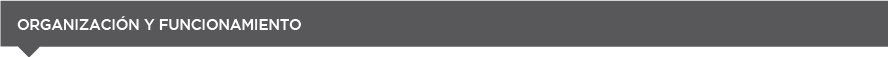 organización y funcionamiento