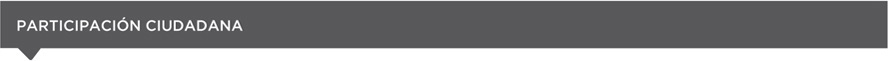 participación ciudadana